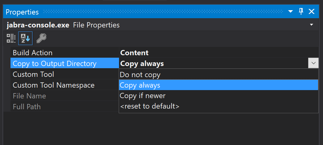 Copy files to Output Directory